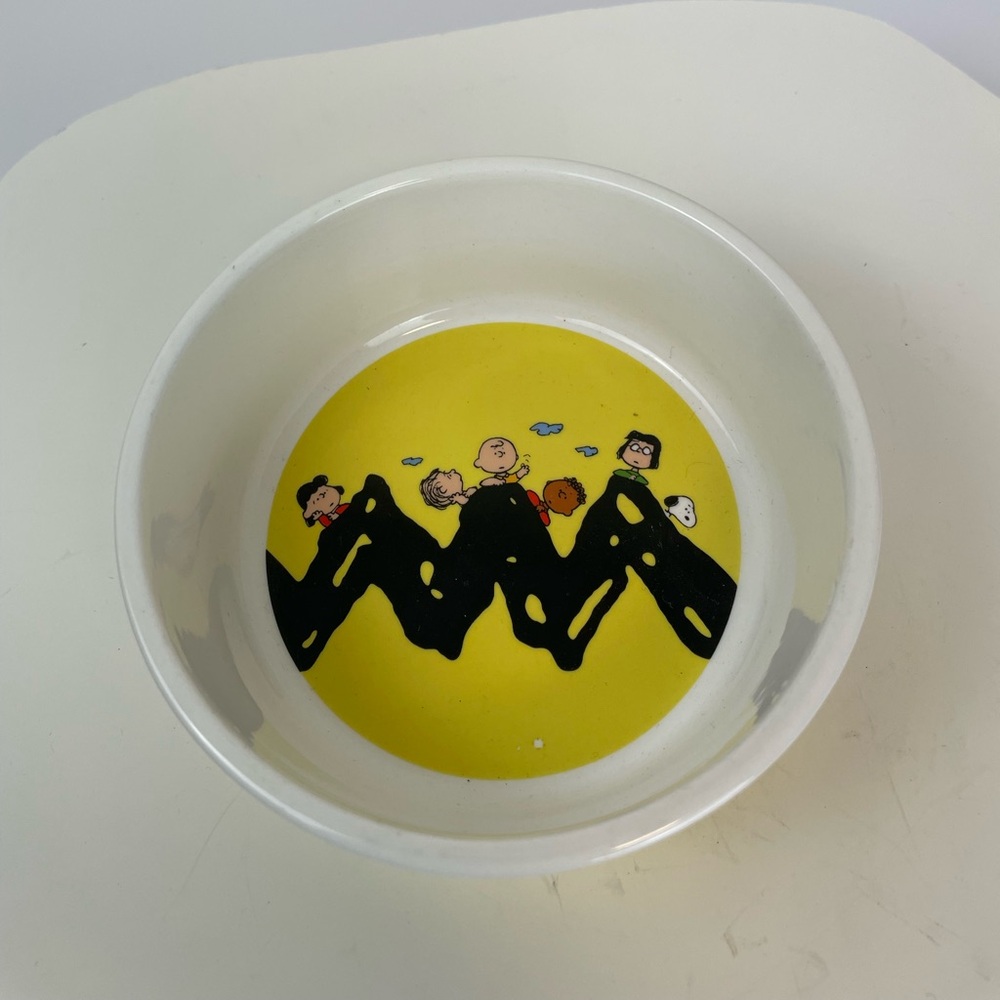 A Vintage Peanuts Cereal Bowl